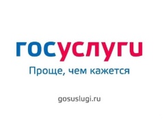 Получение массовых социально значимых услуг в электронном вид