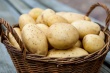 Вниманию предпринимателей Камышловского района, осуществляющих закуп картофеля и овощей у населения Камышловского района! 