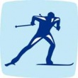 Областные соревнования по лыжным гонкам «Новогодний спринт»