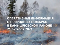Оперативная сводка по ликвидации пожаров в Камышловском районе на 21 октября