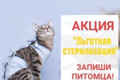 Дни льготной стерилизации домашних животных в государственных бюджетных учреждениях ветеринарии Свердловской области в 2026 году 