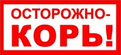 Осторожно корь!!!