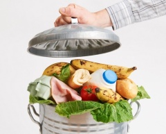 О недопущении использования отходов продуктов питания в корм животным