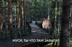 Муся, это ты?..