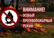 На территории Камышловского муниципального района установлен особый противопожарный режим 