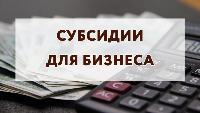 СУБСИДИИ ДЛЯ МСП КАМЫШЛОВСКОГО РАЙОНА