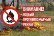 О введении с 07 апреля 2023 года особого противопожарного режима на территории Камышловского муниципального района 