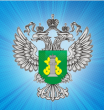 Управление Россельхознадзора по Свердловской области предупреждает о необходимости соблюдения регламентов применения пестицидов 