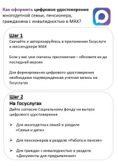 Как оформить удостоверение многодетной семьи, пенсионера, гражданина с инвалидностью в МАХ?