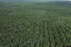 Утверждена дата начала пожароопасного сезона в Свердловской области
