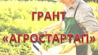 Для сельхозпроизводителей 10 февраля стартует прием заявок на грант «Агростартап» и право получения субсидии на возмещение части затрат сельскохозяйственных потребительских кооперативов (СПоК)