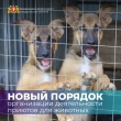 С 1 января 2024 года вступил в силу новый Порядок организации деятельности приютов для животных и норм содержания животных в них на территории Свердловской области.