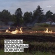 Лес не прощает ошибок. Разбираем главные причины пожаров