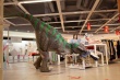 Динозавры в огромной маске и розовой пачке прогулялись по Екатеринбургу