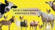 Памятка по маркировке животных