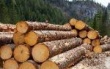 Информация для предприятий лесоперерабатывающей инфраструктуры по работе в ЛесЕГАИС