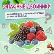 Осторожно, ядовитые ягоды!