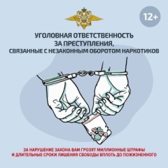 Уголовная ответственность за преступления, связанные с незаконным оборотом наркотиков