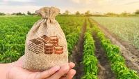 Меры поддержки бизнеса для крестьянско-фермерских хозяйств  и сельскохозяйственных производственных кооперативов